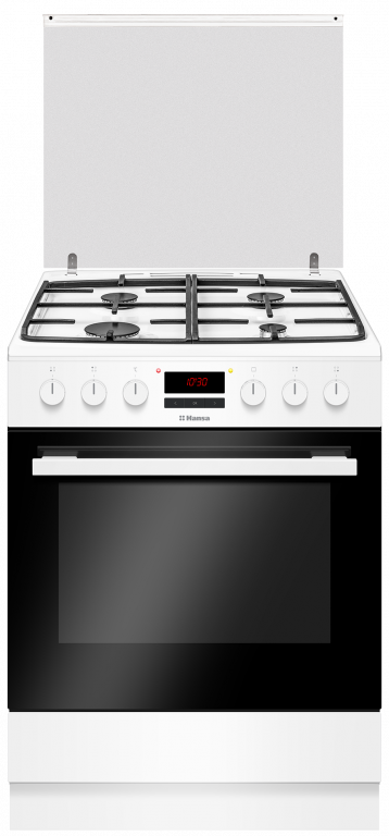 Газовая плита HANSA FCMW68229