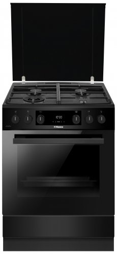 Газовая плита Hansa FCMM693291